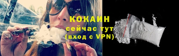 тгк Абаза