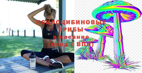 трава Абинск
