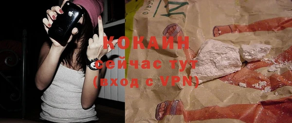 тгк Абаза