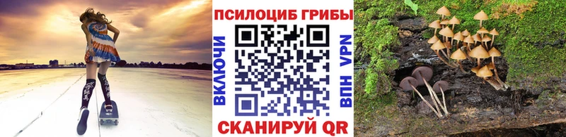 kraken сайт Весьегонск Галлюциногенные грибы MAGIC MUSHROOMS